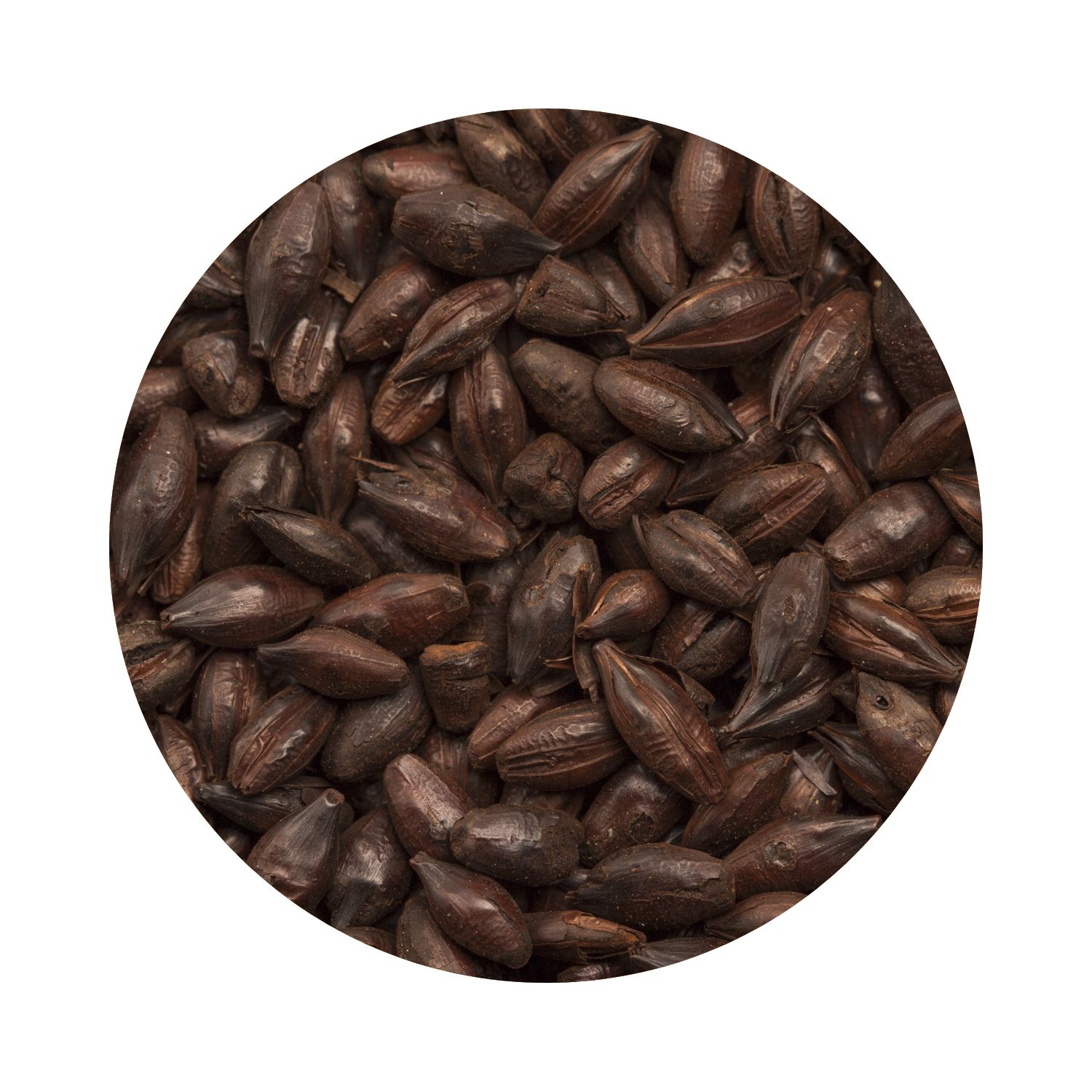 BEST Roasted Barley