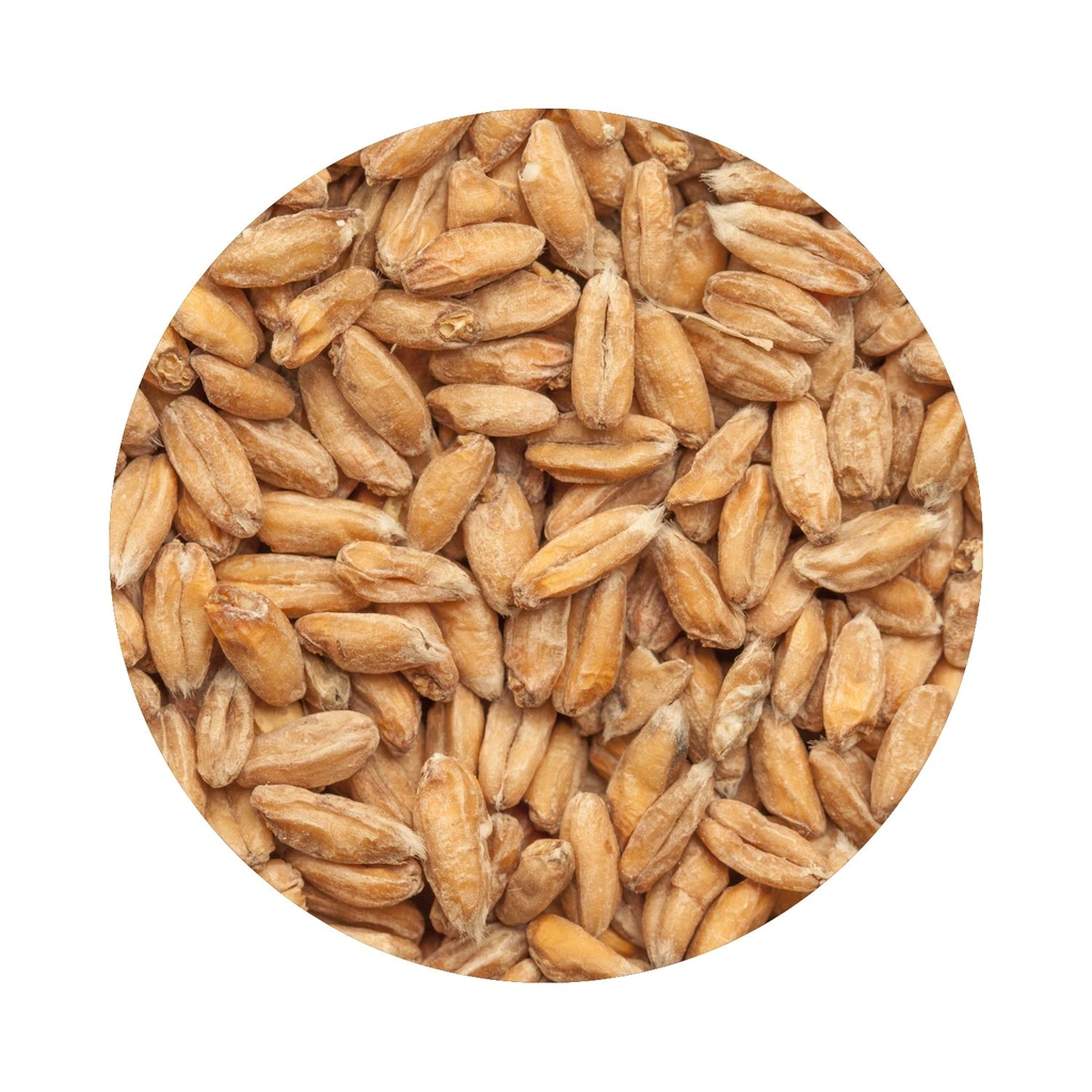 BEST Spelt Malt