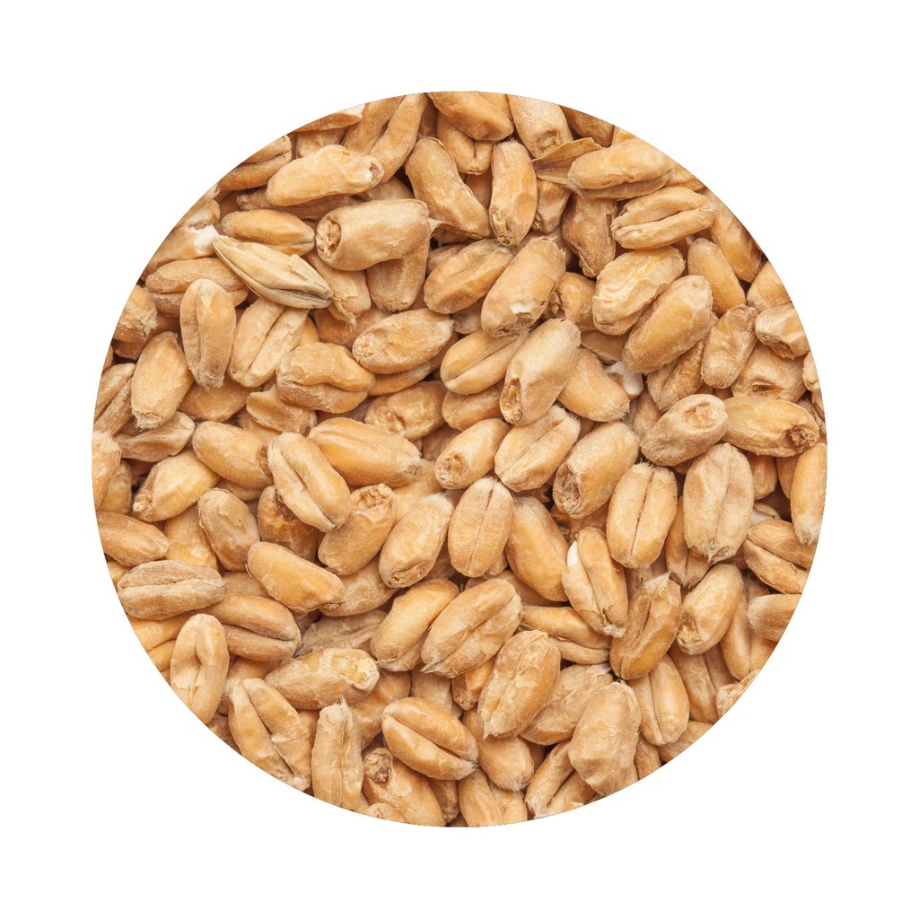 BEST Wheat Malt