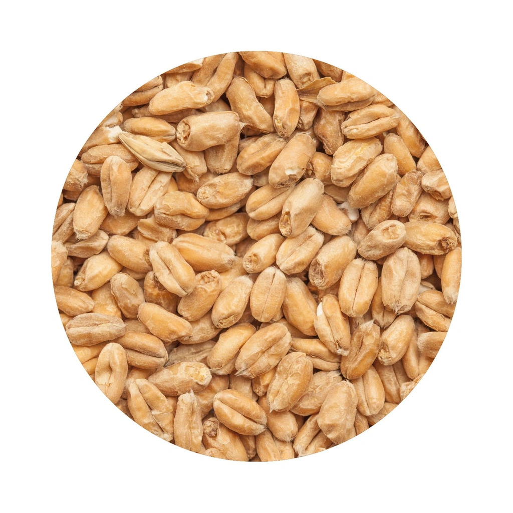 BEST Wheat Malt Whole Bag 25 kg