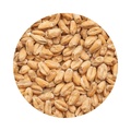 BEST Wheat Malt