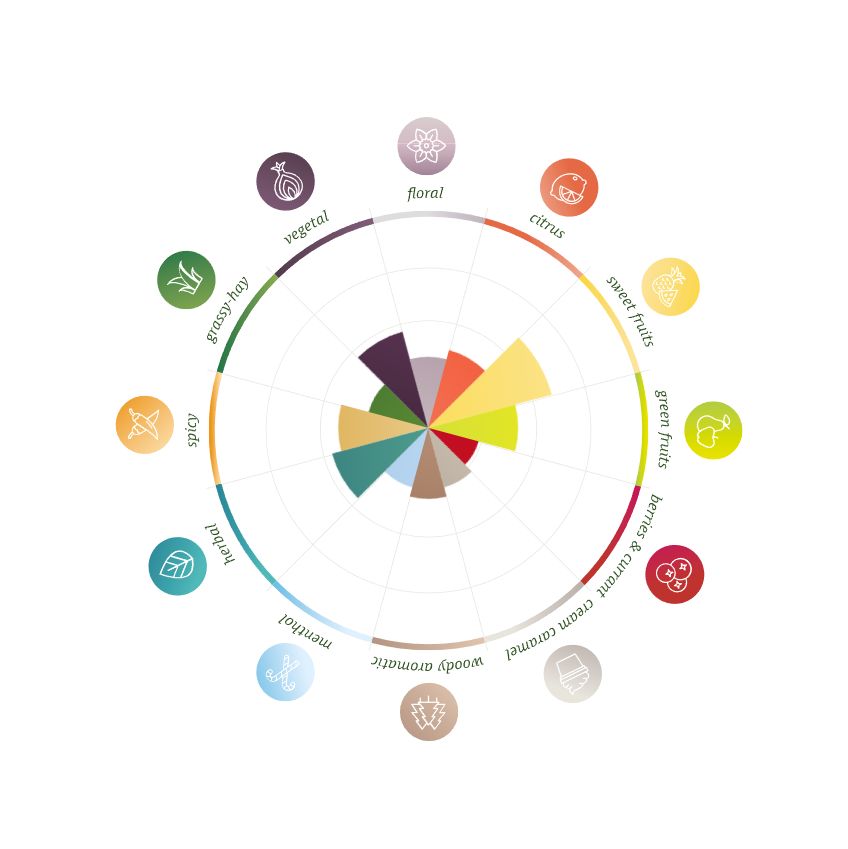 Dolcita Pellets 2025 100g