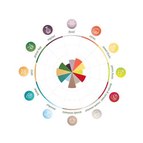 Tettnanger Pellets 2025 5kg