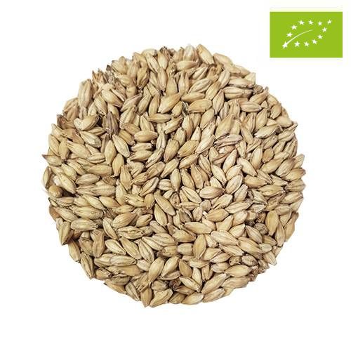 EKO Pilsner Malt Balder 10 kg