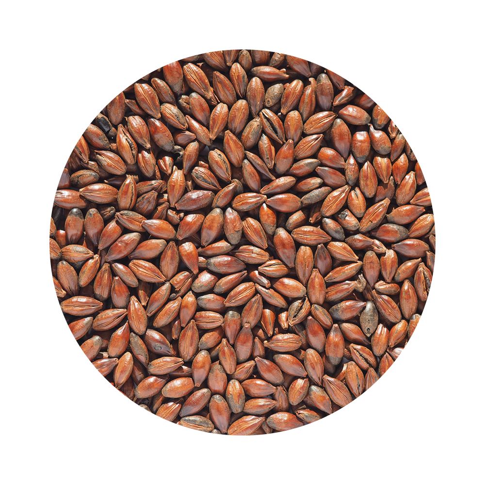 Low Colour Chocolate Malt