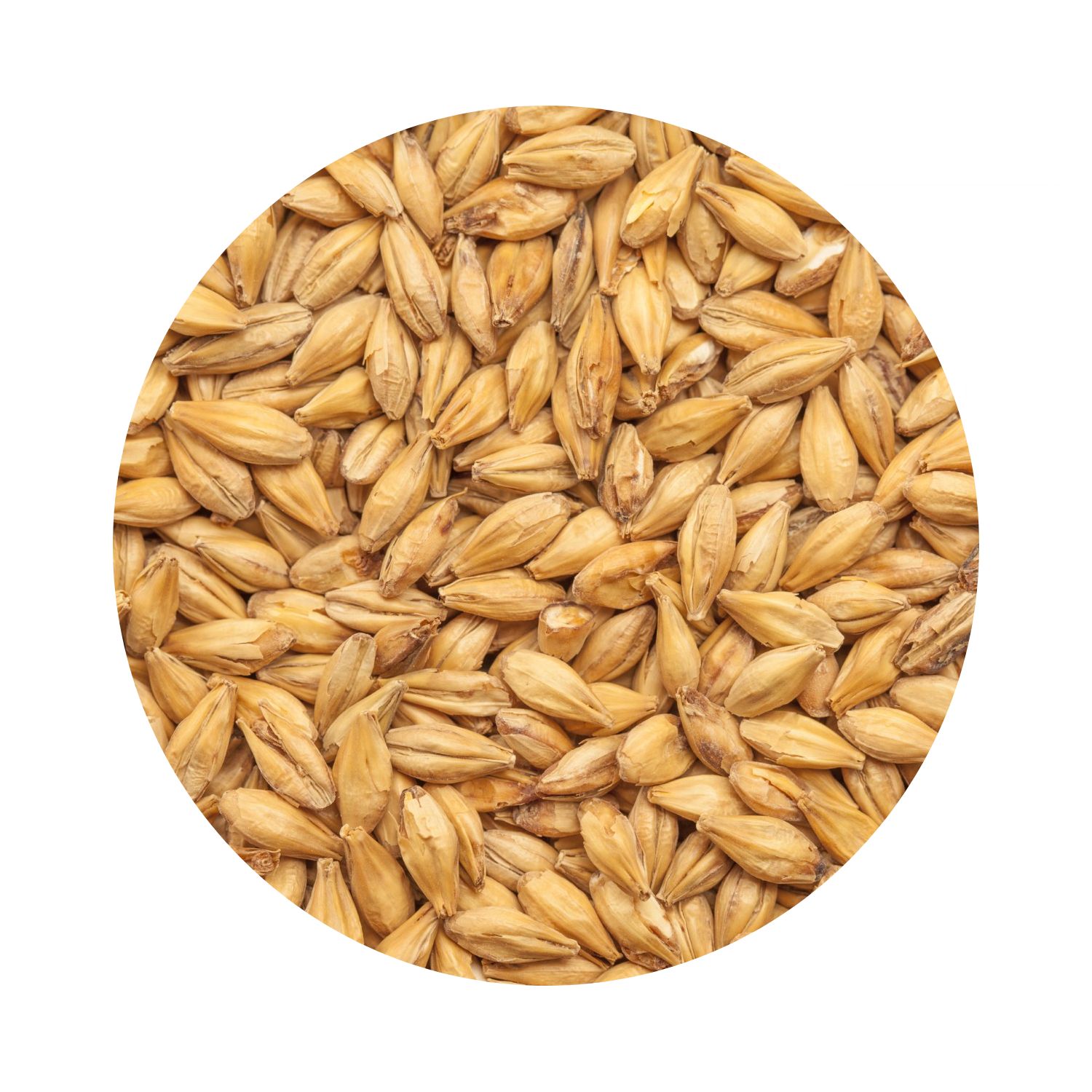 BEST Sakura Smoked Malt