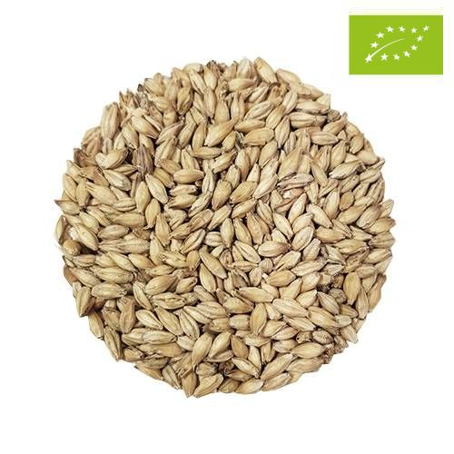 Organic Pilsner Malt Balder